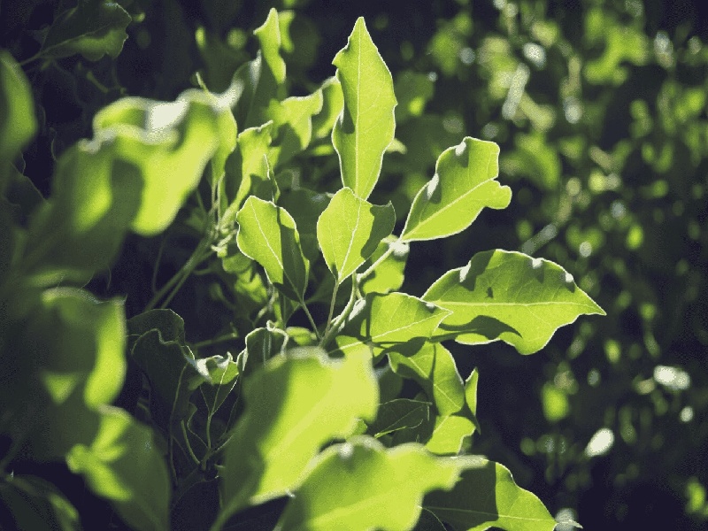 试管代孕医疗环境